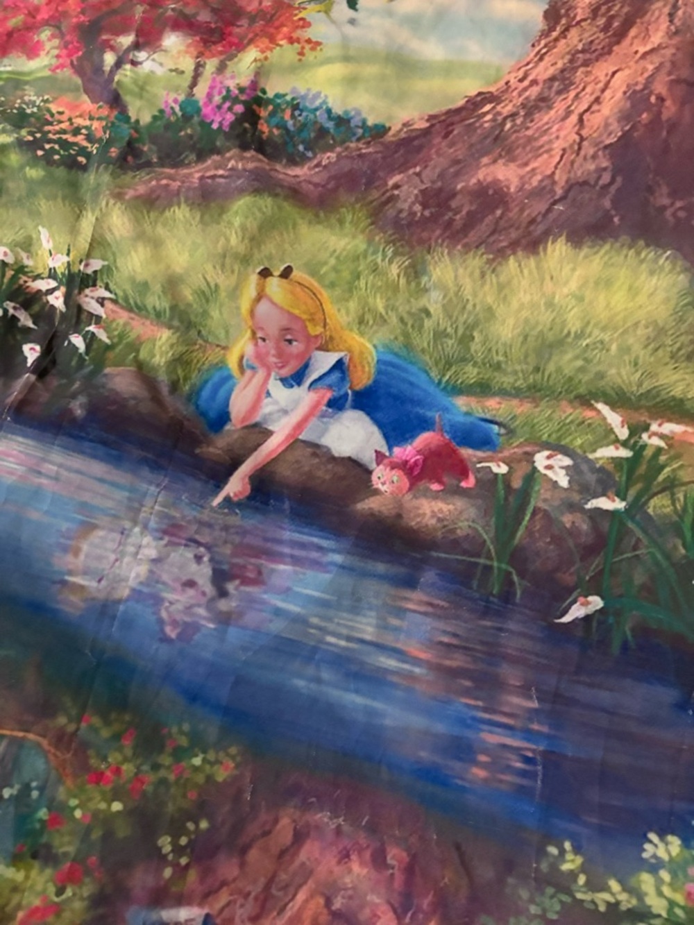 Alice in Wonderland Decorative Party Backdrop/Background for Photos.